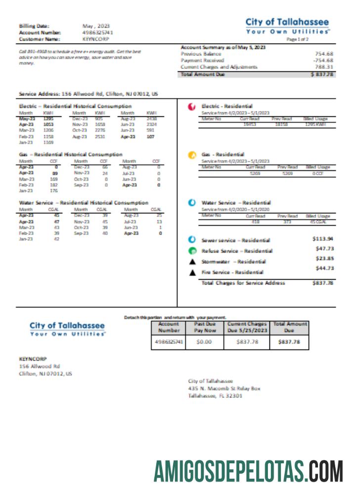 Florida City Of Tallahassee Florida Your Own Utilities Business Bill, SCR exemplo real